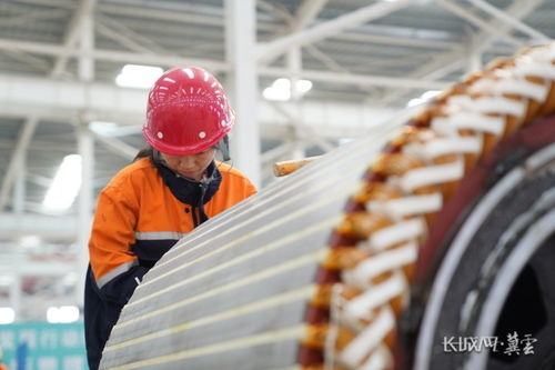 項(xiàng)目一線看發(fā)展 邯鄲 機(jī)械 發(fā)動(dòng)機(jī) 激活裝備制造新活力