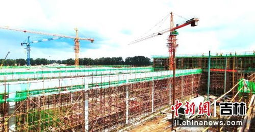 總投資3.1億元，德翔食品年加工一億只肉雞屠宰廠項(xiàng)目順利推進(jìn)的戰(zhàn)略規(guī)劃與投資價(jià)值分析